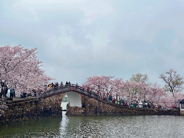 黿頭渚封面圖