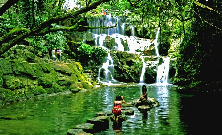 鼎湖山風光封面圖