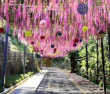 紫藤花長(zhǎng)廊
