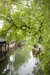 景點：周莊古鎮